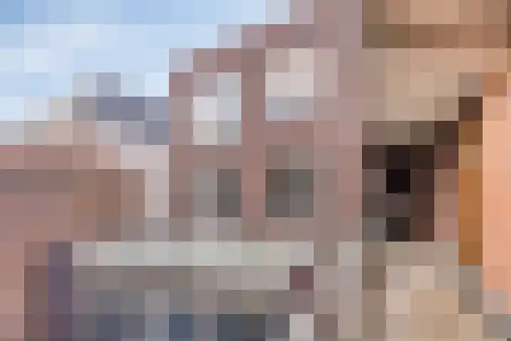 Victoriberg 49 V5 Noordwijkerhout thumbnail 6