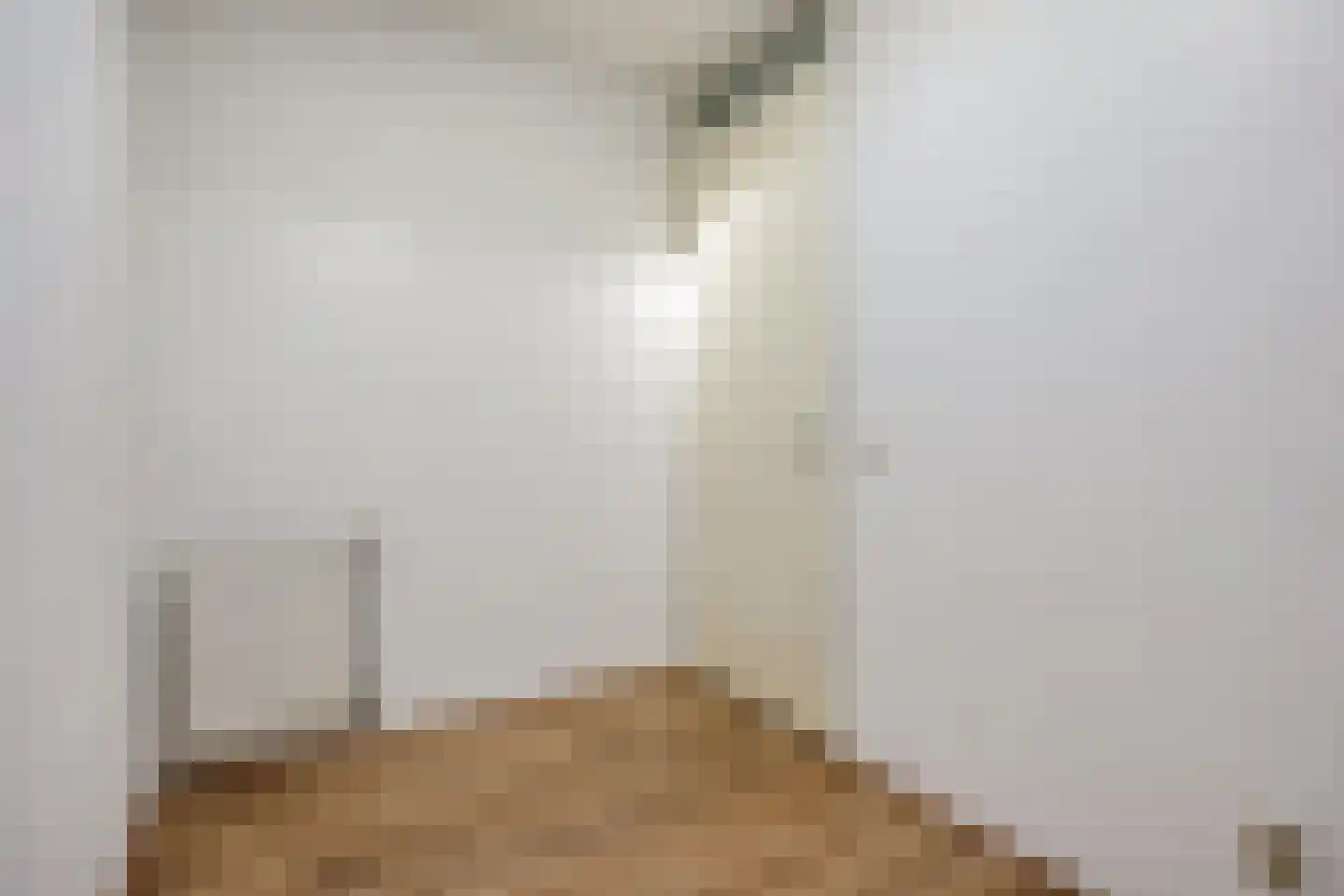 Victoriberg 49 V7 Noordwijkerhout thumbnail 8