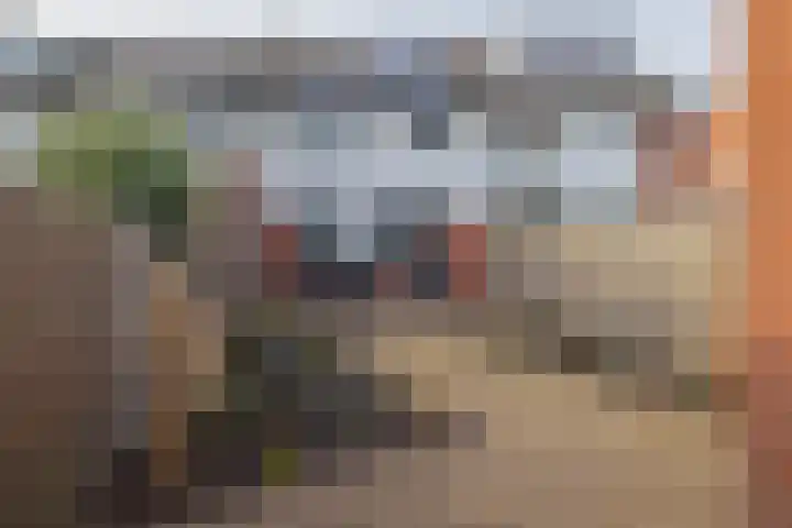 Victoriberg 99 Noordwijkerhout thumbnail 25