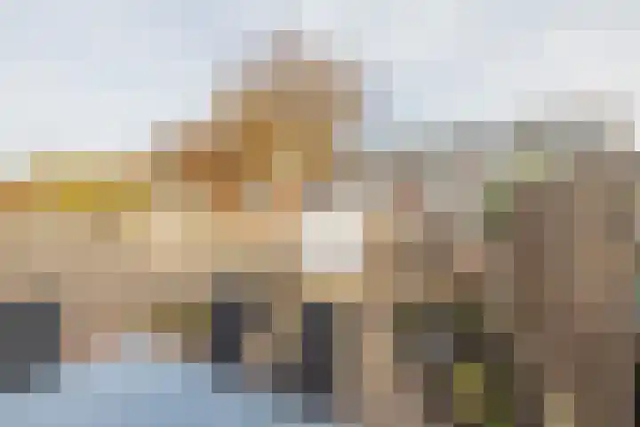 Victoriberg 99 Noordwijkerhout thumbnail 26