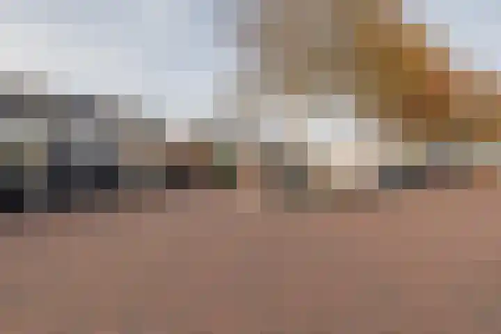 Victoriberg 99 Noordwijkerhout thumbnail 29