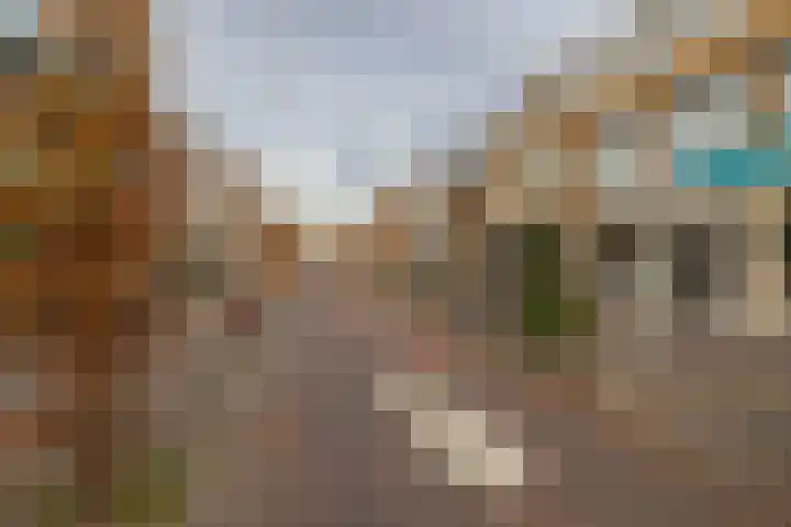 Victoriberg 99 Noordwijkerhout thumbnail 32