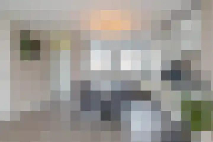 Victoriberg 99 Noordwijkerhout thumbnail 5