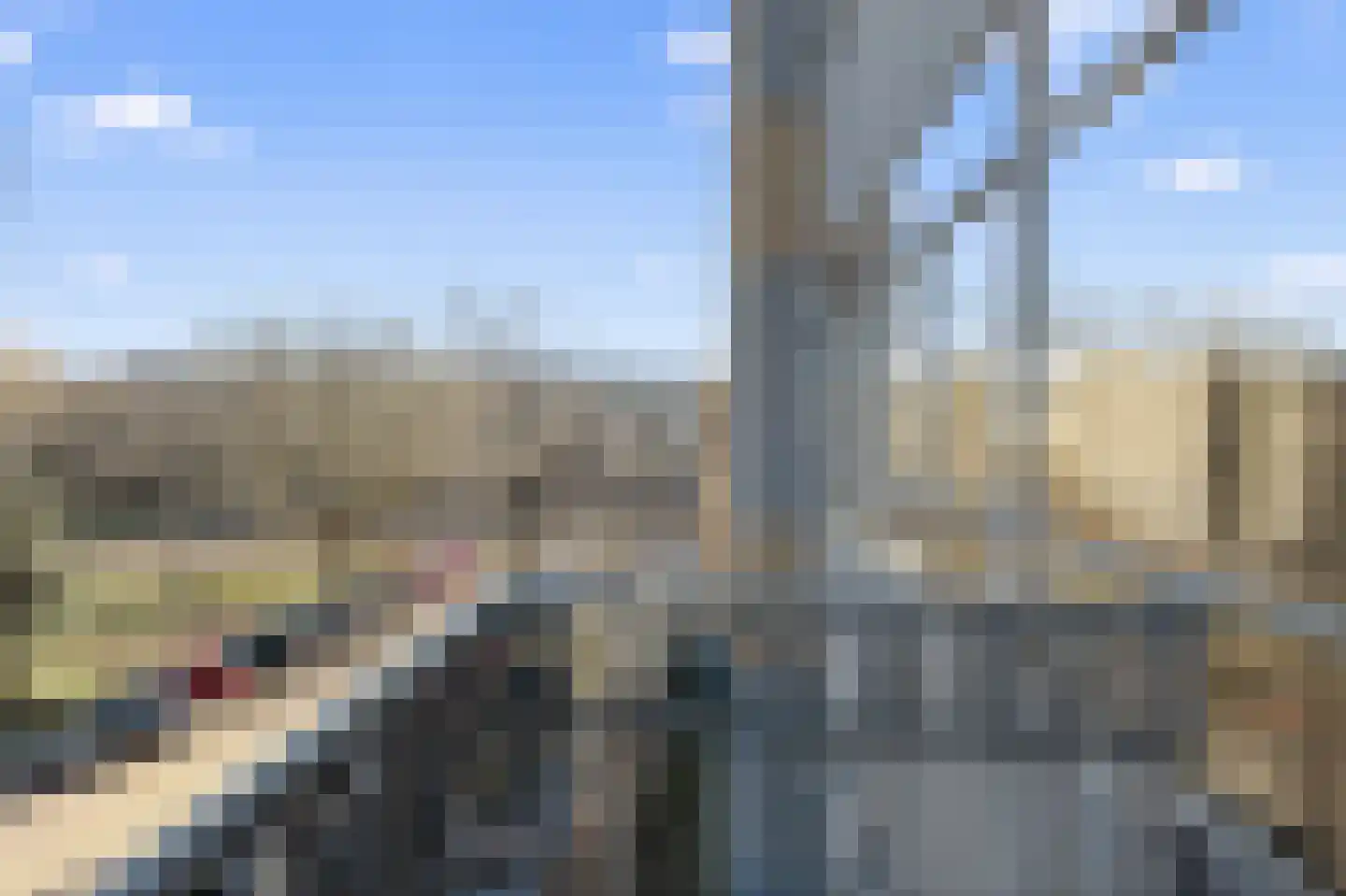 Victorieplein 45 10 Amsterdam thumbnail 4