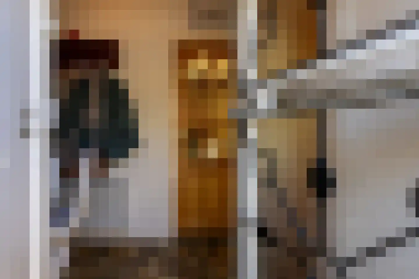 Victoriestraat 19 Bergen op Zoom thumbnail 6
