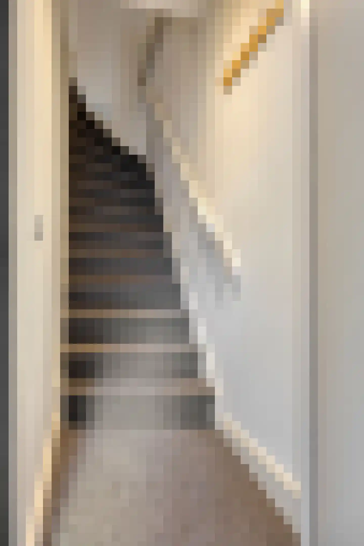 Victoriestraat 33 a Waalwijk thumbnail 6