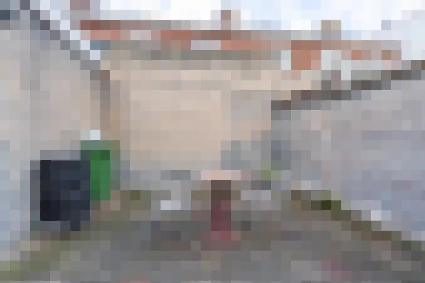 Victoriestraat 37 Waalwijk thumbnail 11