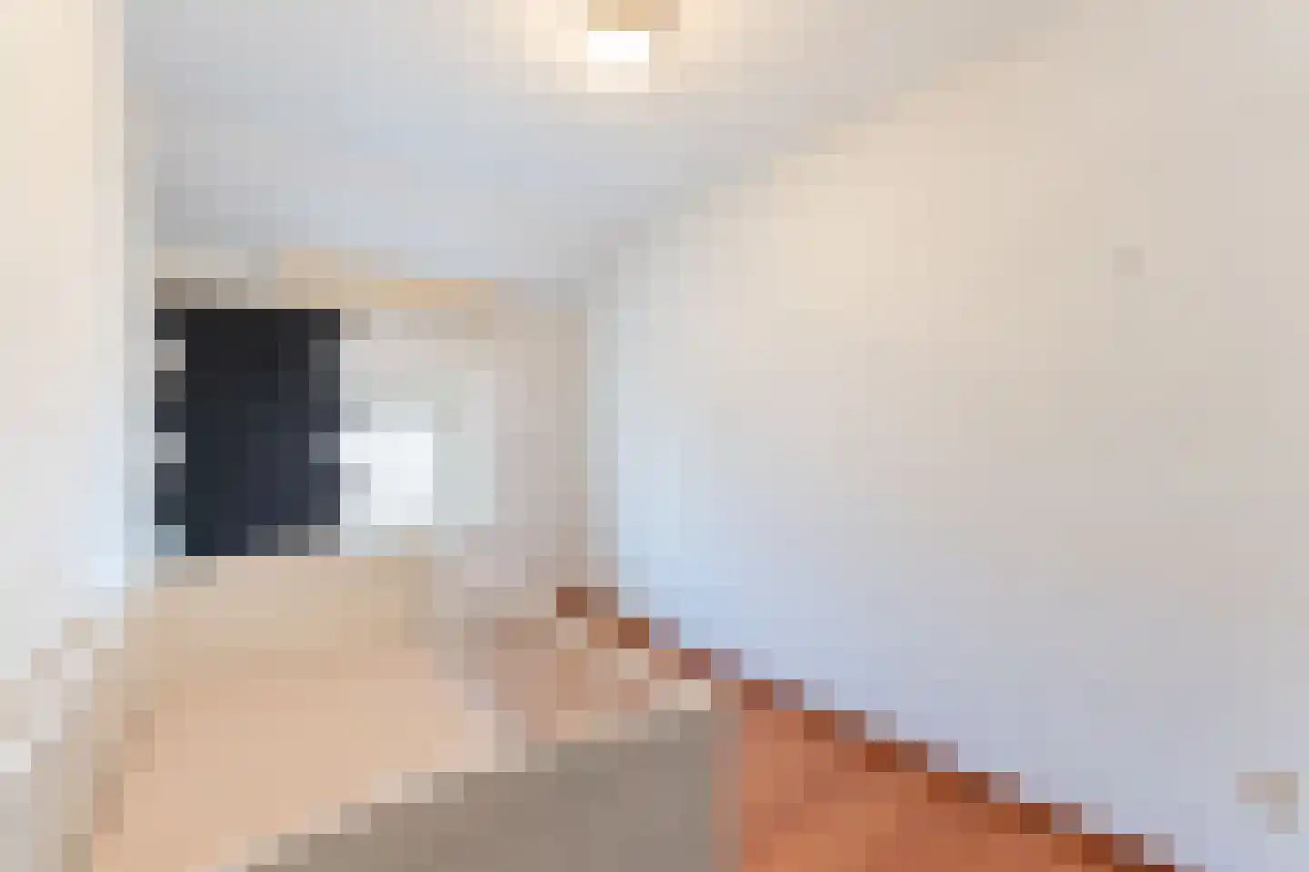Victoriestraat 37 Waalwijk thumbnail 15