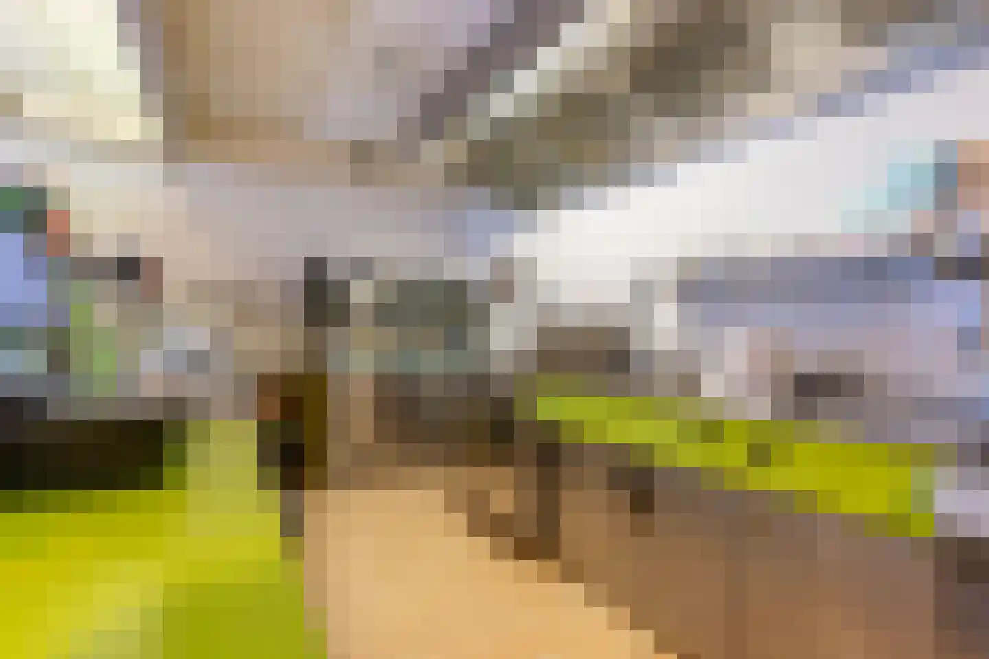 Victoriestraat 37 Waalwijk thumbnail 5