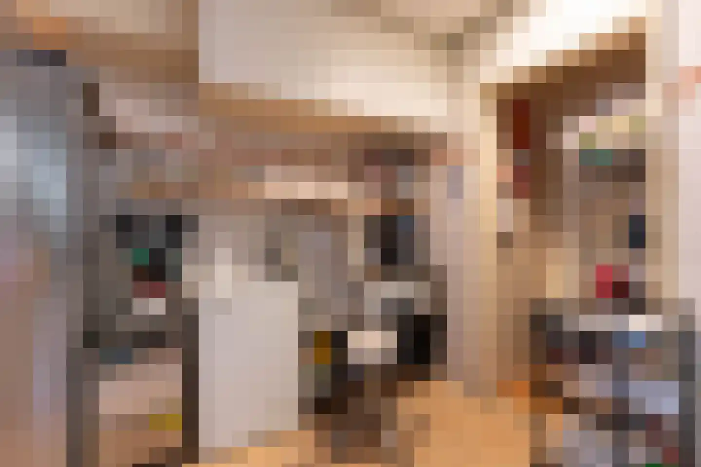Victoriestraat 37 Waalwijk thumbnail 6