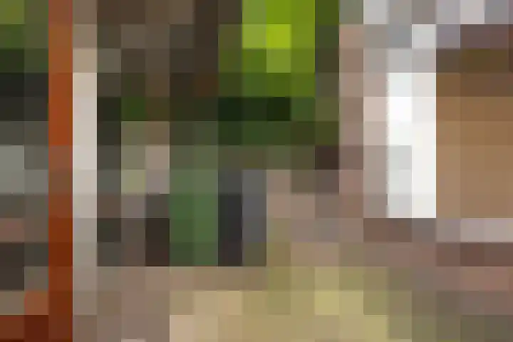 Victoriestraat 41 Waalwijk thumbnail 9