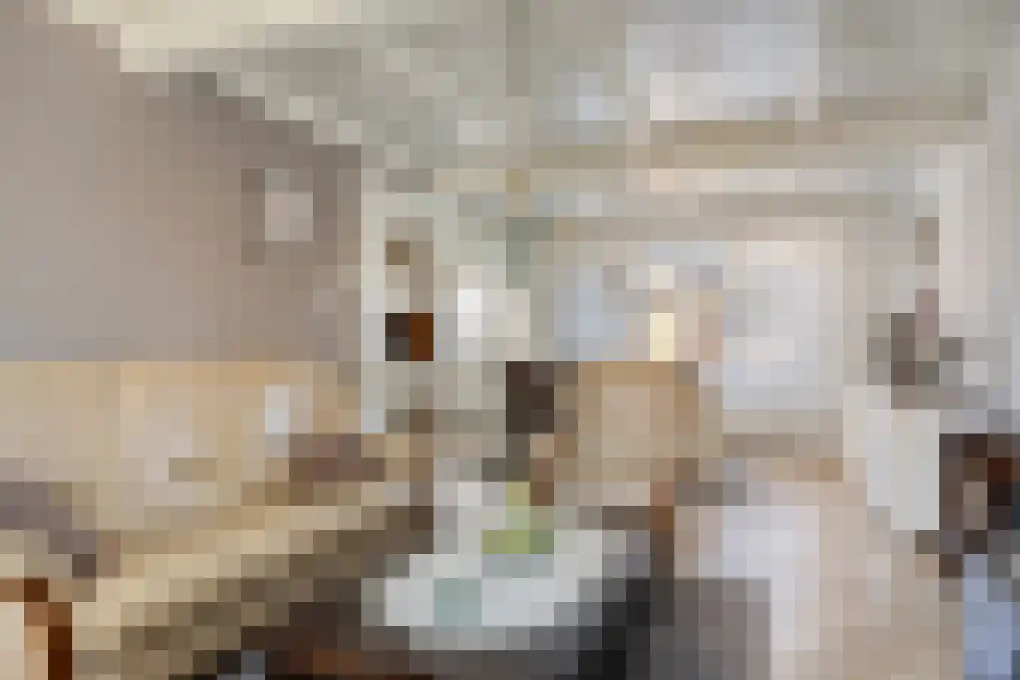 Victoriestraat 9 Bergen op Zoom thumbnail 8