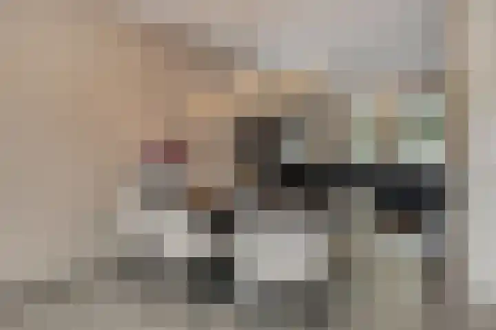 Vicus 15 Veldhoven thumbnail 10