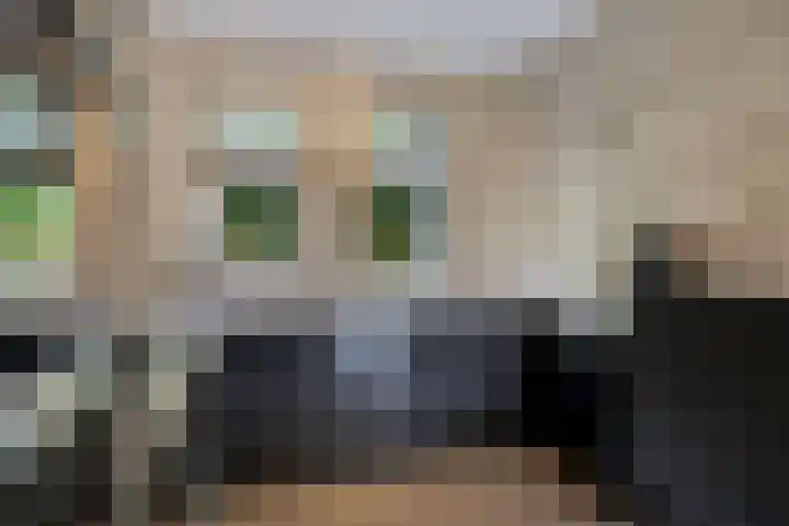 Vicus 15 Veldhoven thumbnail 11