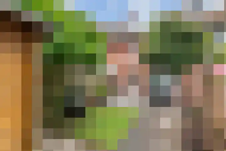 Vicusstraat 34 Tiel thumbnail 22