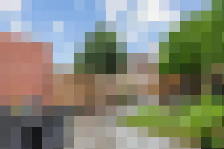 Vicusstraat 34 Tiel thumbnail 24