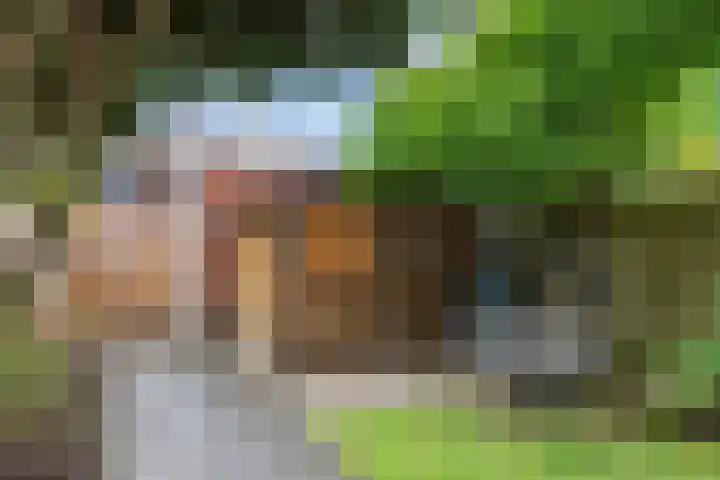 Vicusstraat 34 Tiel thumbnail 26