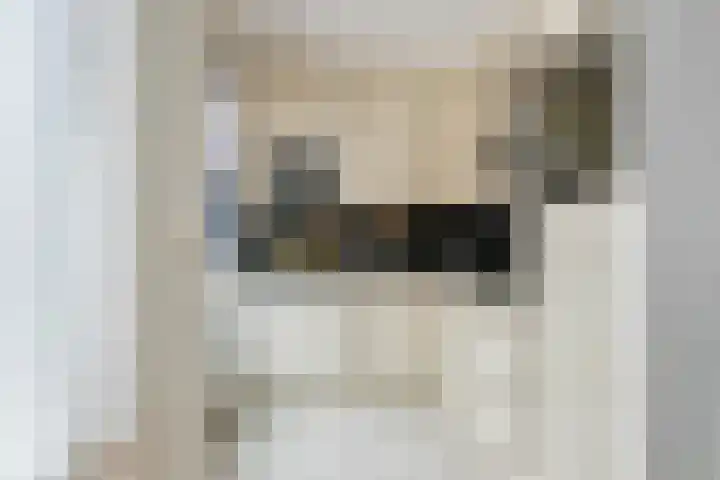 Vicusstraat 34 Tiel thumbnail 9