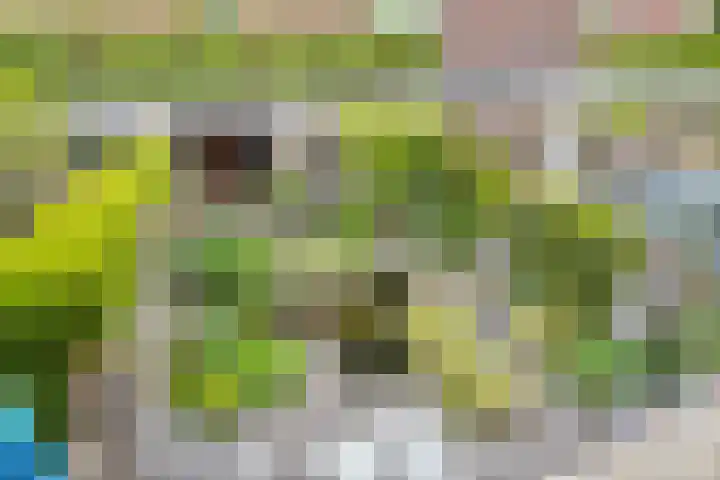 Vicusstraat 5 Tiel thumbnail 24