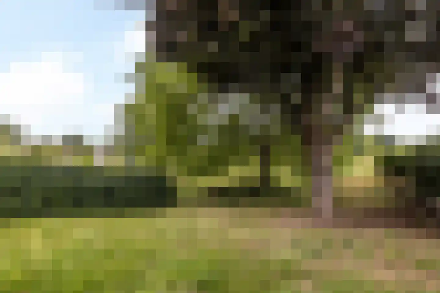 Vielderweg 31 Doenrade thumbnail 12