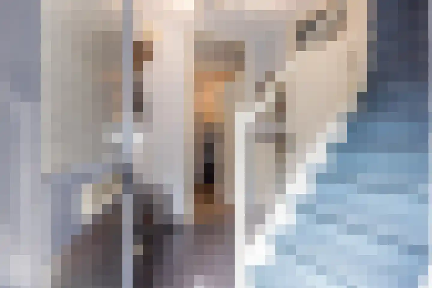 Vielderweg 31 Doenrade thumbnail 13