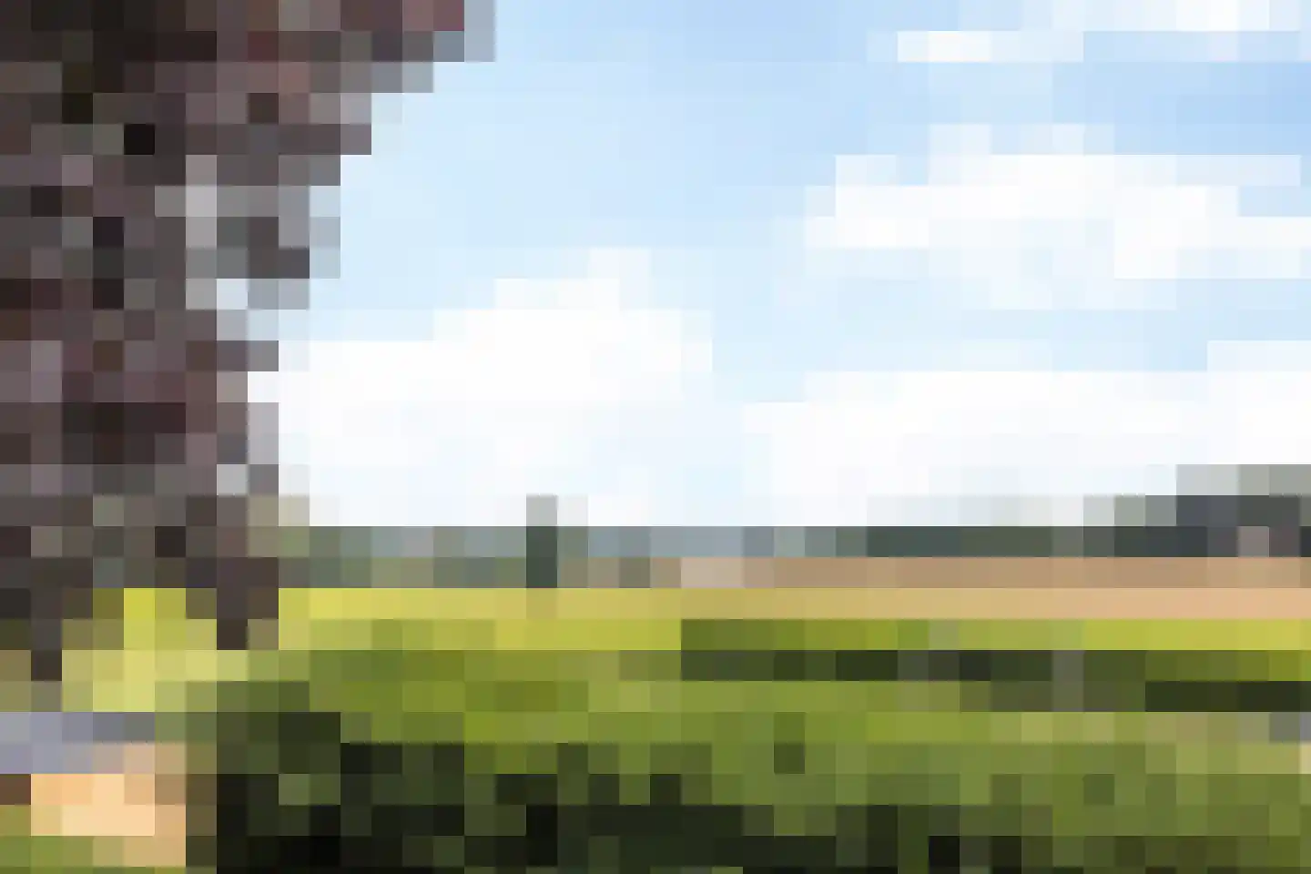 Vielderweg 31 Doenrade thumbnail 40