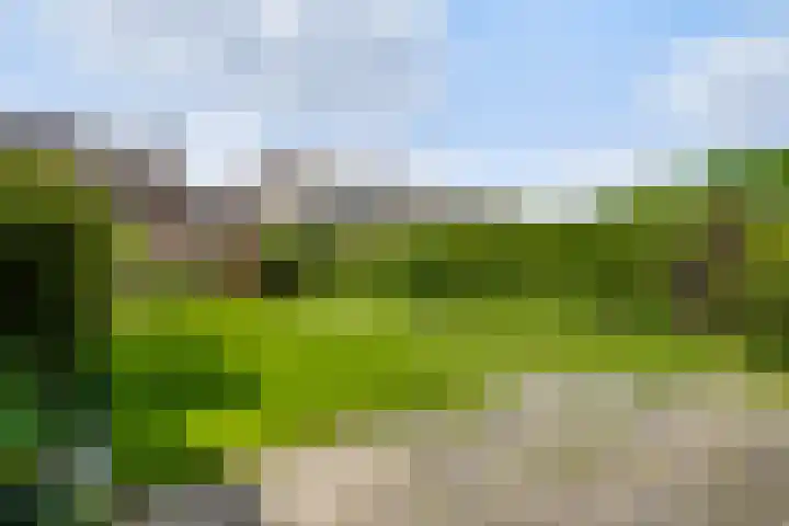 Viënnahof 16 Maastricht thumbnail 11