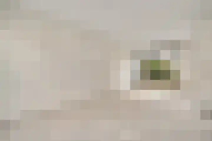 Viënnahof 16 Maastricht thumbnail 7