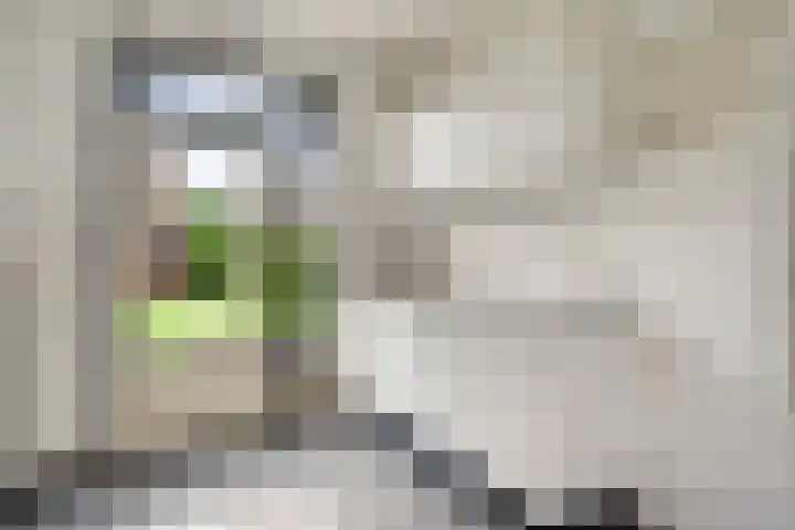 Viënnahof 16 Maastricht thumbnail 9
