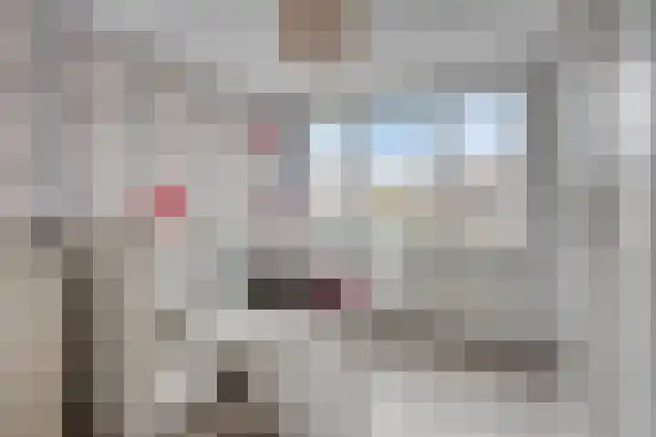 Viënnahof 24 Maastricht thumbnail 17