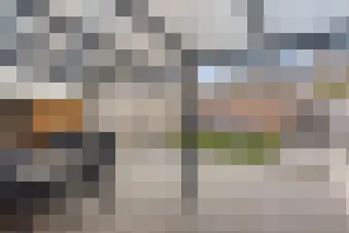 Viënnahof 24 Maastricht thumbnail 27