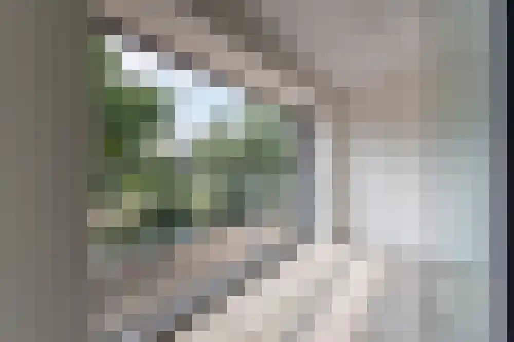Vier Heemskinderendreef 4 Utrecht thumbnail 9
