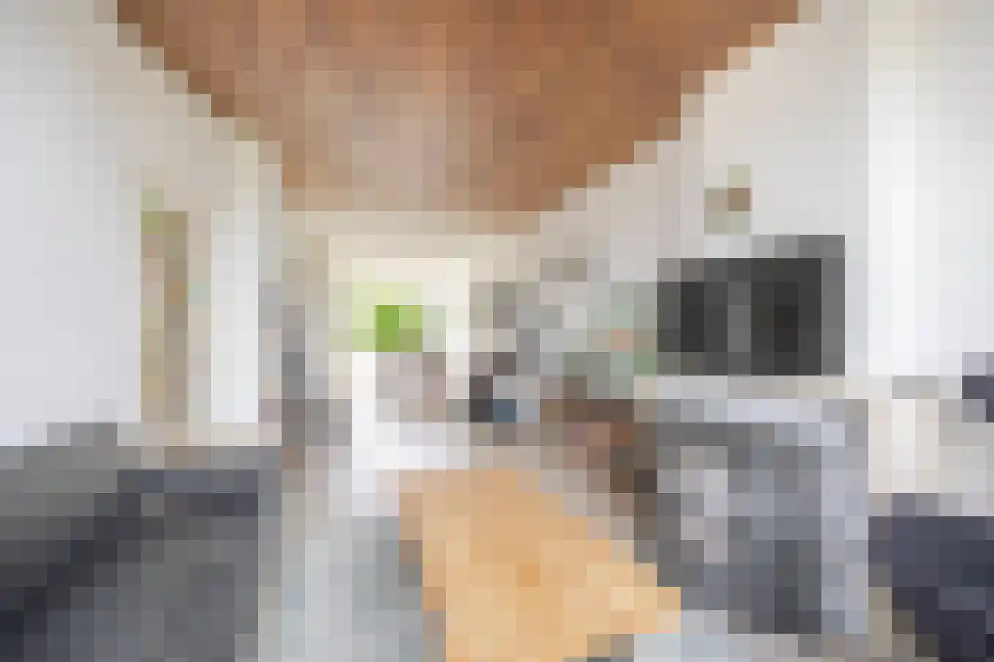 Vier Heemskinderenstraat 94 Den Haag thumbnail 10