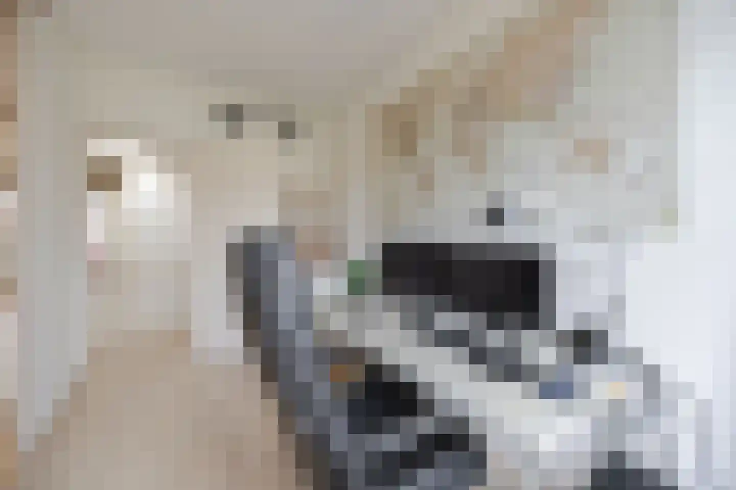 Vier Heemskinderenstraat 94 Den Haag thumbnail 4
