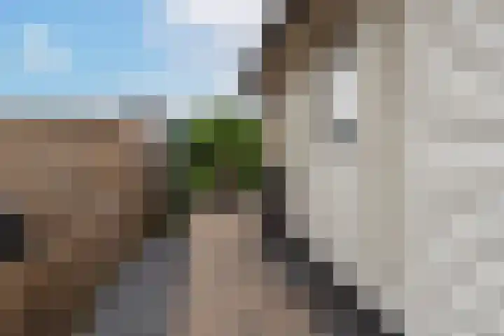 Vier Heultjes 103 Sprang-Capelle thumbnail 10
