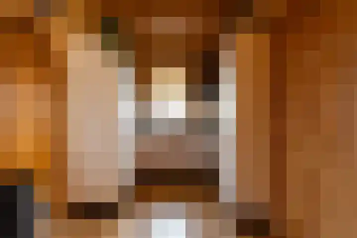 Vier Heultjes 103 Sprang-Capelle thumbnail 13