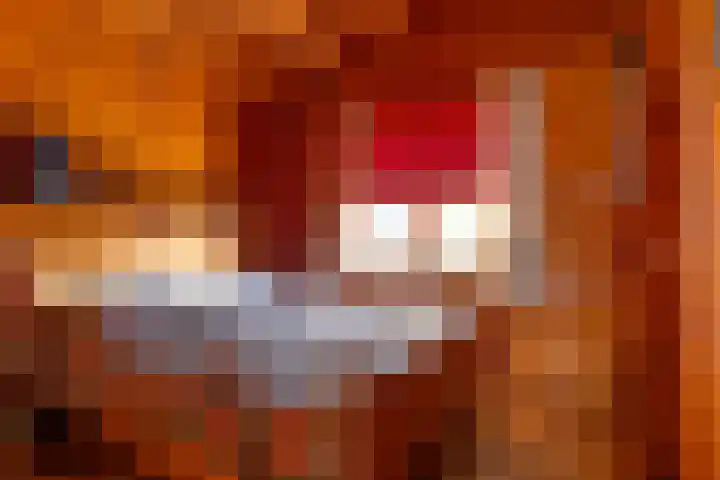 Vier Heultjes 103 Sprang-Capelle thumbnail 17