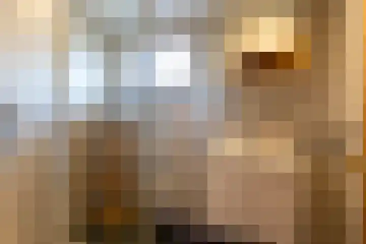 Vier Heultjes 103 Sprang-Capelle thumbnail 19