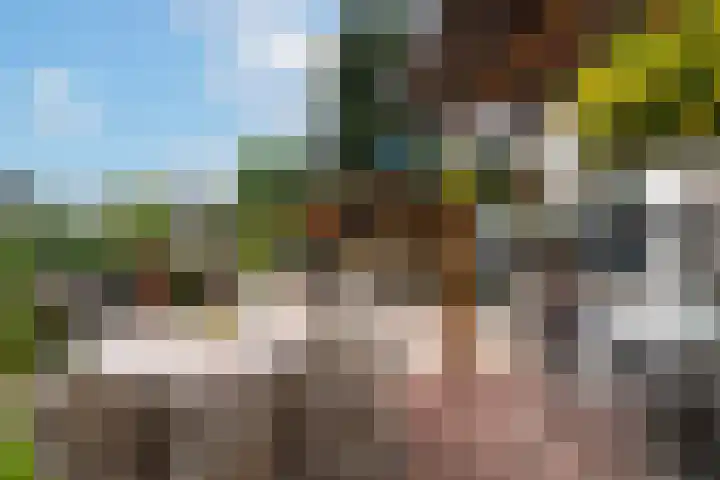 Vier Heultjes 103 Sprang-Capelle thumbnail 6