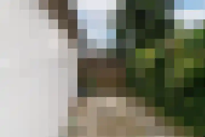 Vier Heultjes 103 Sprang-Capelle thumbnail 9
