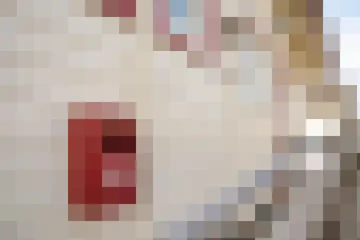 Vier Heultjes 214 Sprang-Capelle thumbnail 10