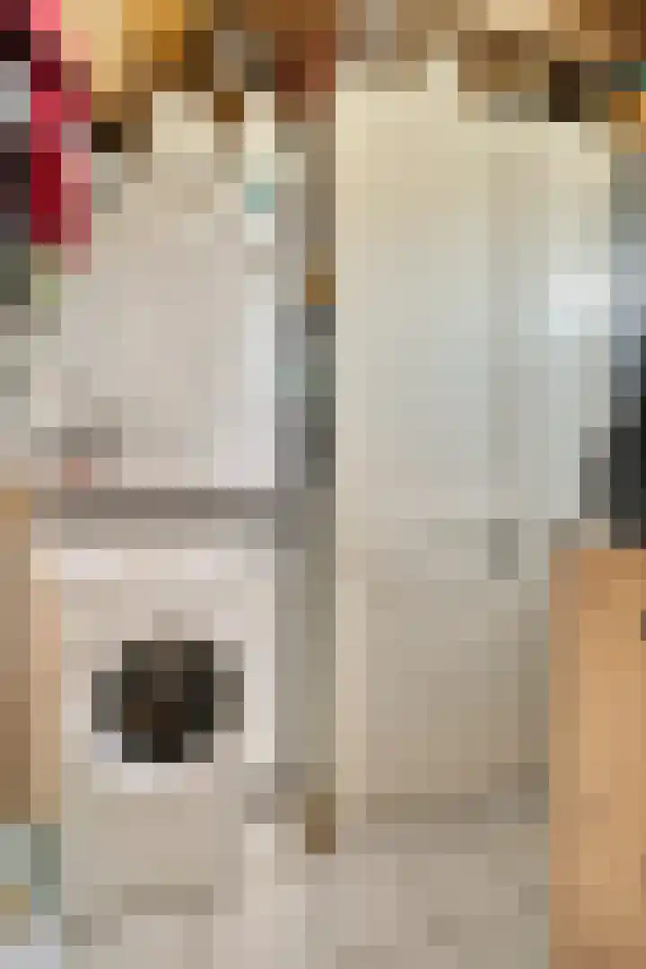 Vier Heultjes 214 Sprang-Capelle thumbnail 11
