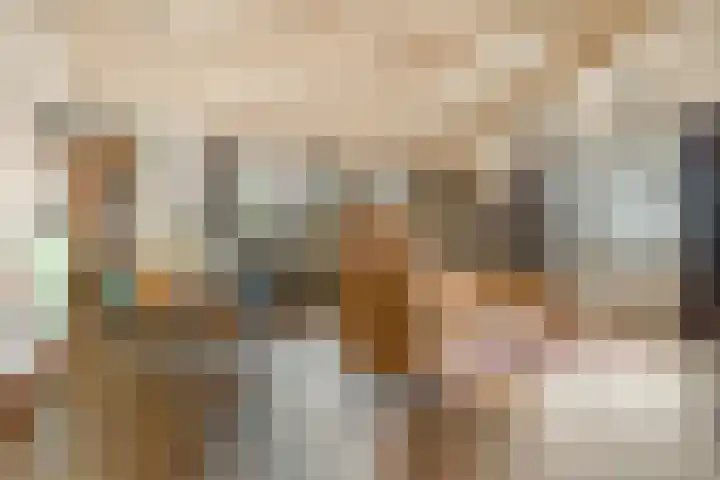 Vier Heultjes 214 Sprang-Capelle thumbnail 13
