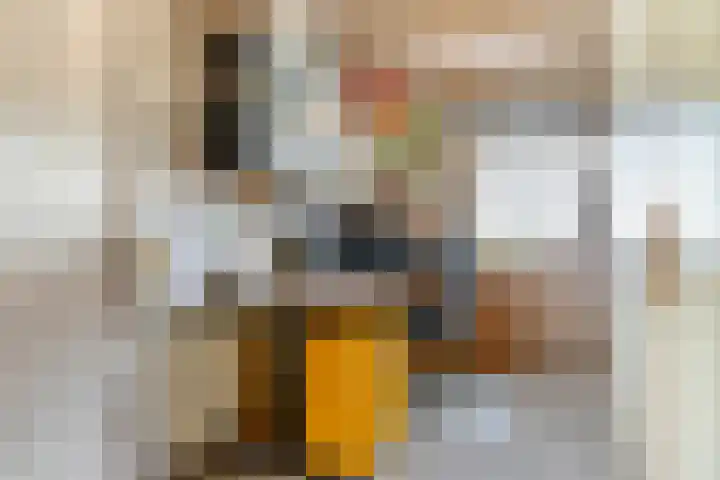 Vier Heultjes 214 Sprang-Capelle thumbnail 23