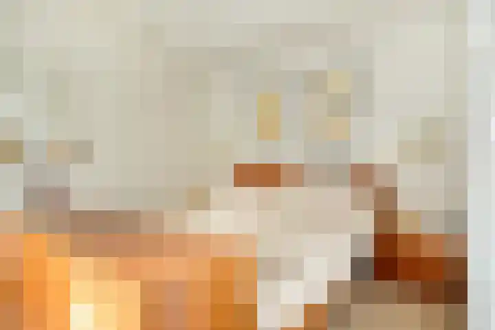 Vier Heultjes 214 Sprang-Capelle thumbnail 25