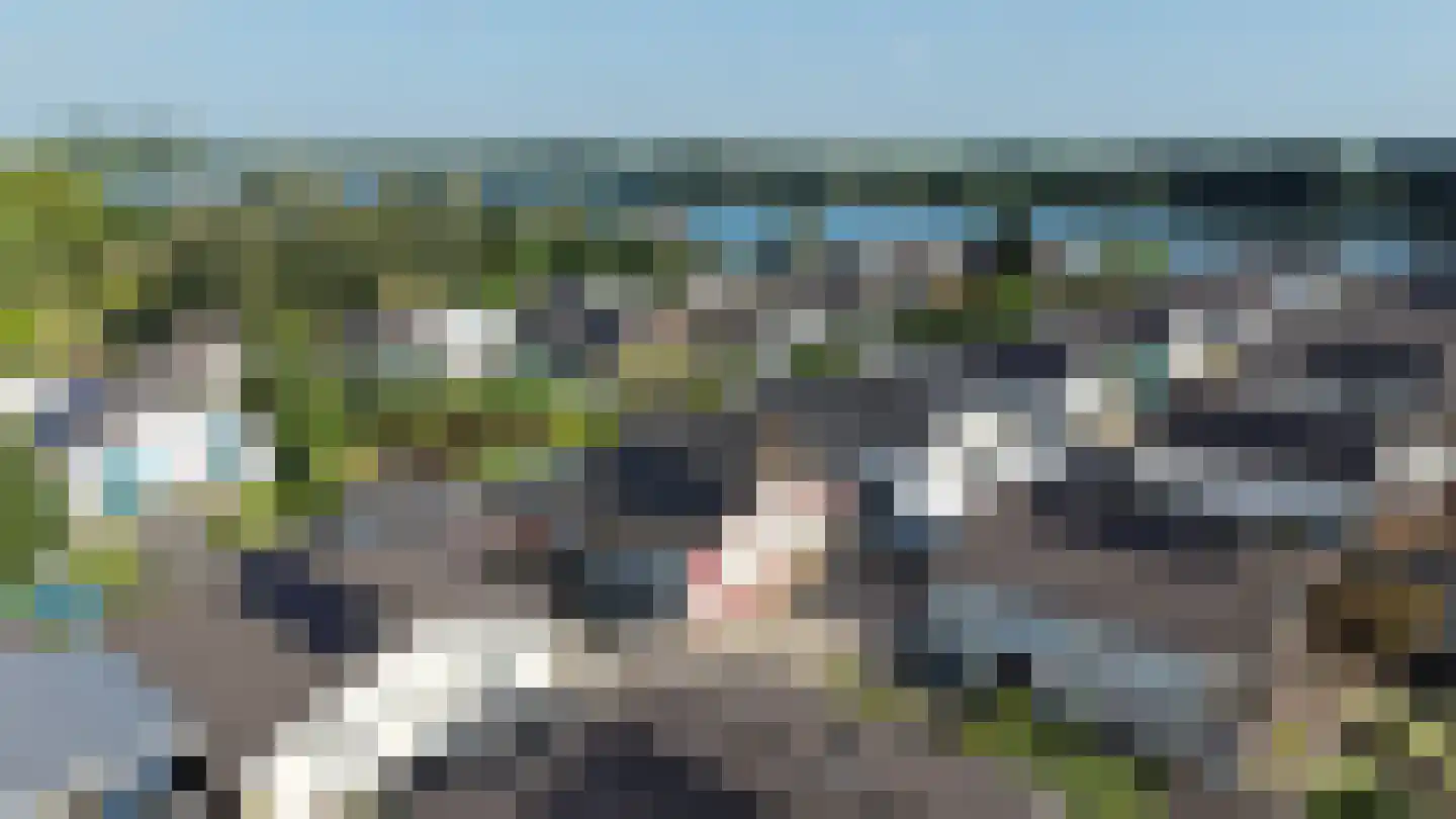 Vier Heultjes 214 Sprang-Capelle thumbnail 30