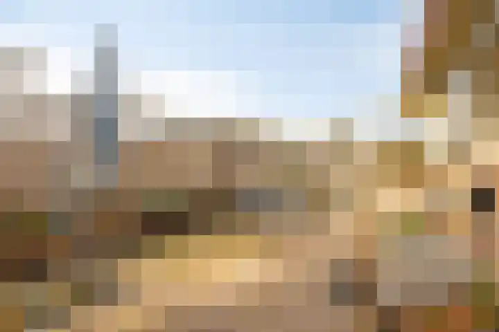 Vier Heultjes 214 Sprang-Capelle thumbnail 31