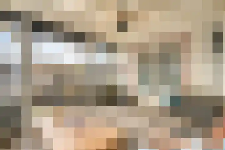 Vier Heultjes 214 Sprang-Capelle thumbnail 38