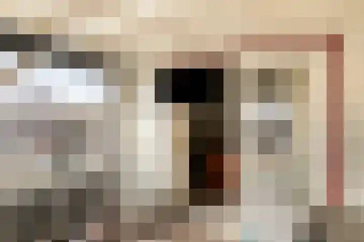 Vier Heultjes 214 Sprang-Capelle thumbnail 39