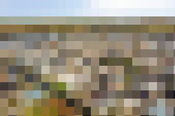 Vier Heultjes 214 Sprang-Capelle thumbnail 4